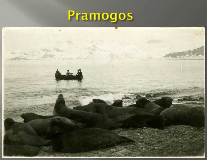 Pramogos.jpg