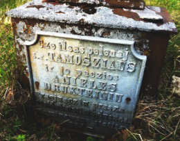 Kapinėse2 1887 m